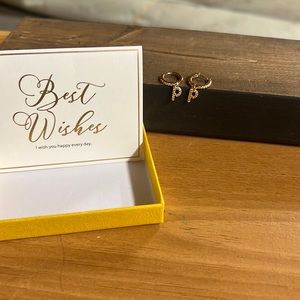 Letter “p” earrings
